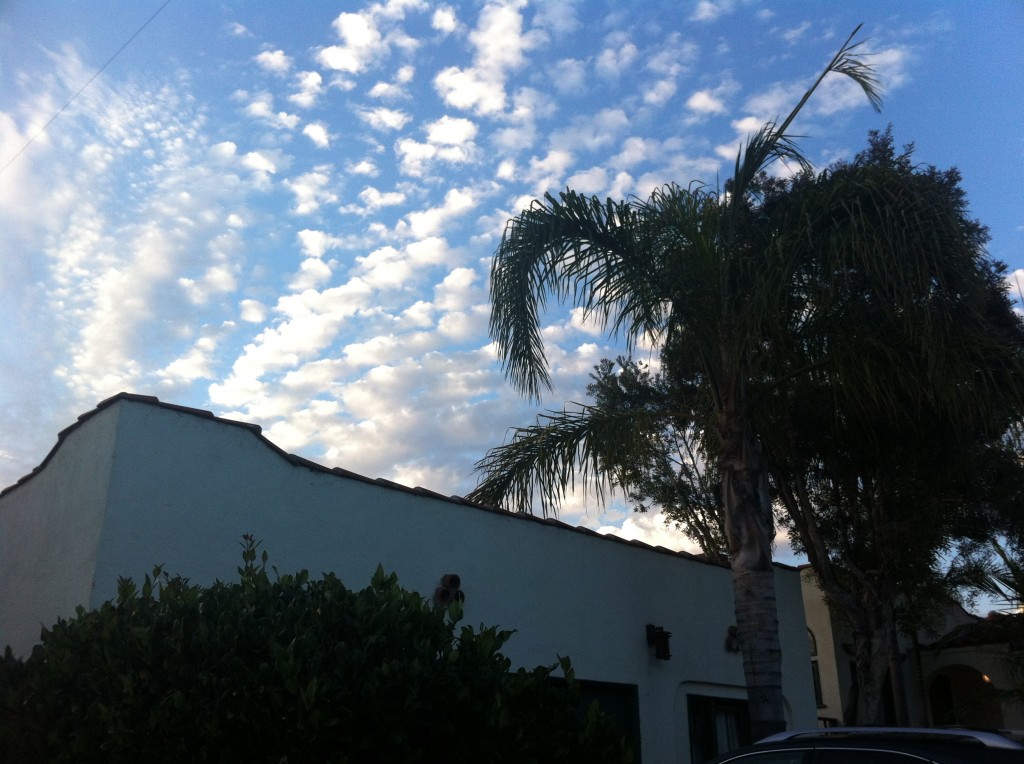 Blue sky with strata clouds, palm tree, and home